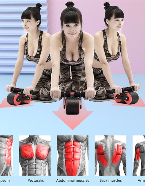 Load image into Gallery viewer, Double Wheel Abdominal Exerciser Women Men Automatic Rebound Ab Wheel Roller Waist Trainer Gym Sports Home Exercise Devices
